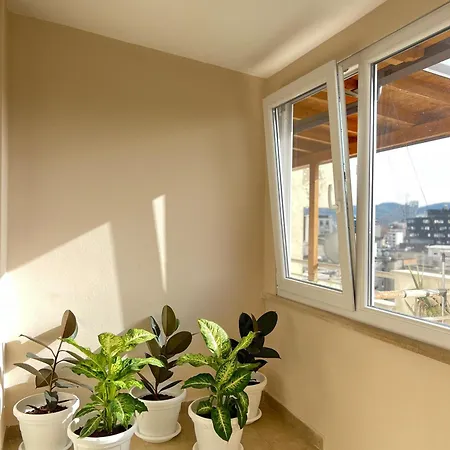 Apartment Above The 01